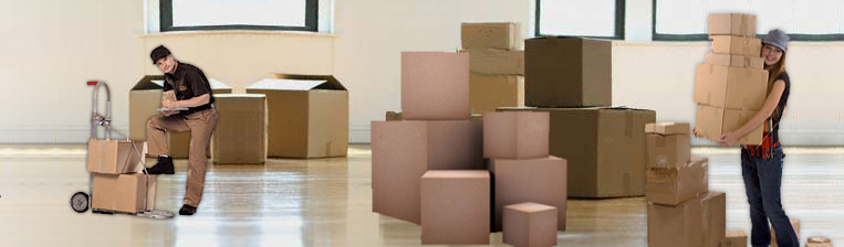 Times Relocation Packers & Movers